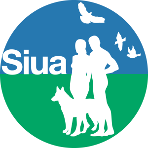 Siua