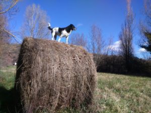 IMG-20160219-WA0000