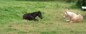 IMG_20160502_130555